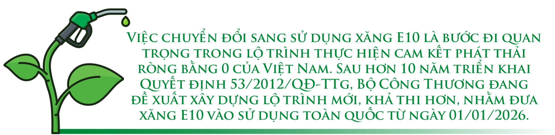 Lộ trình xăng E10