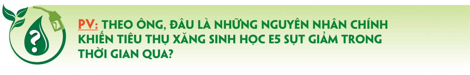 xăng e10