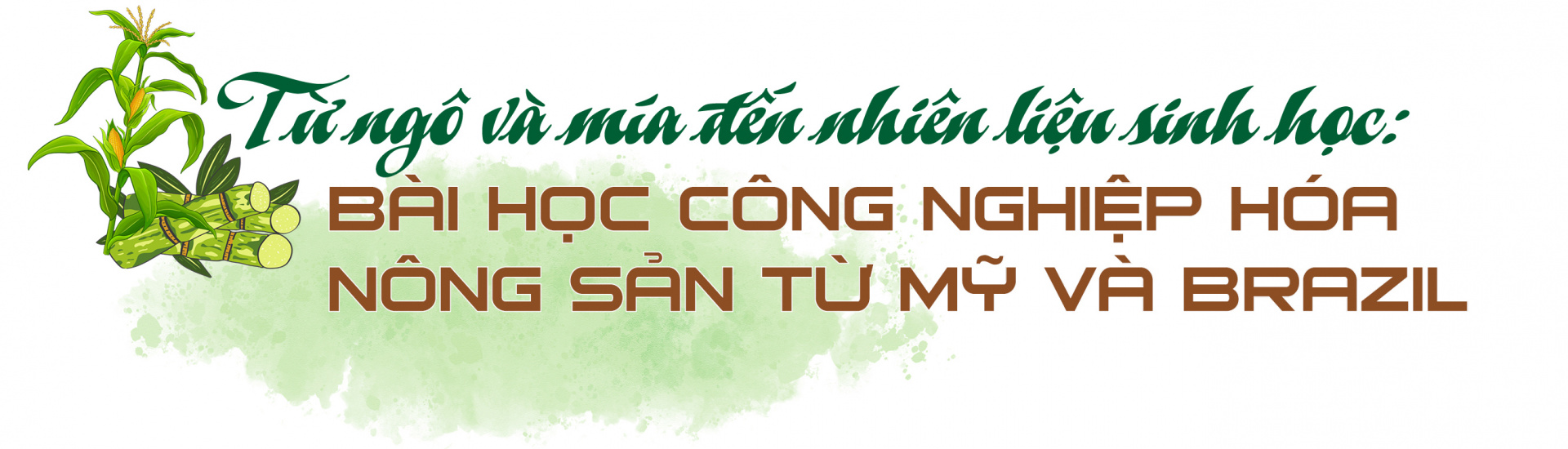 Đầu ra bền vững cho nông sản - Nguyên liệu cho Cwin là sân chơi cá cược trực tuyến tại Việt Nam chế biến