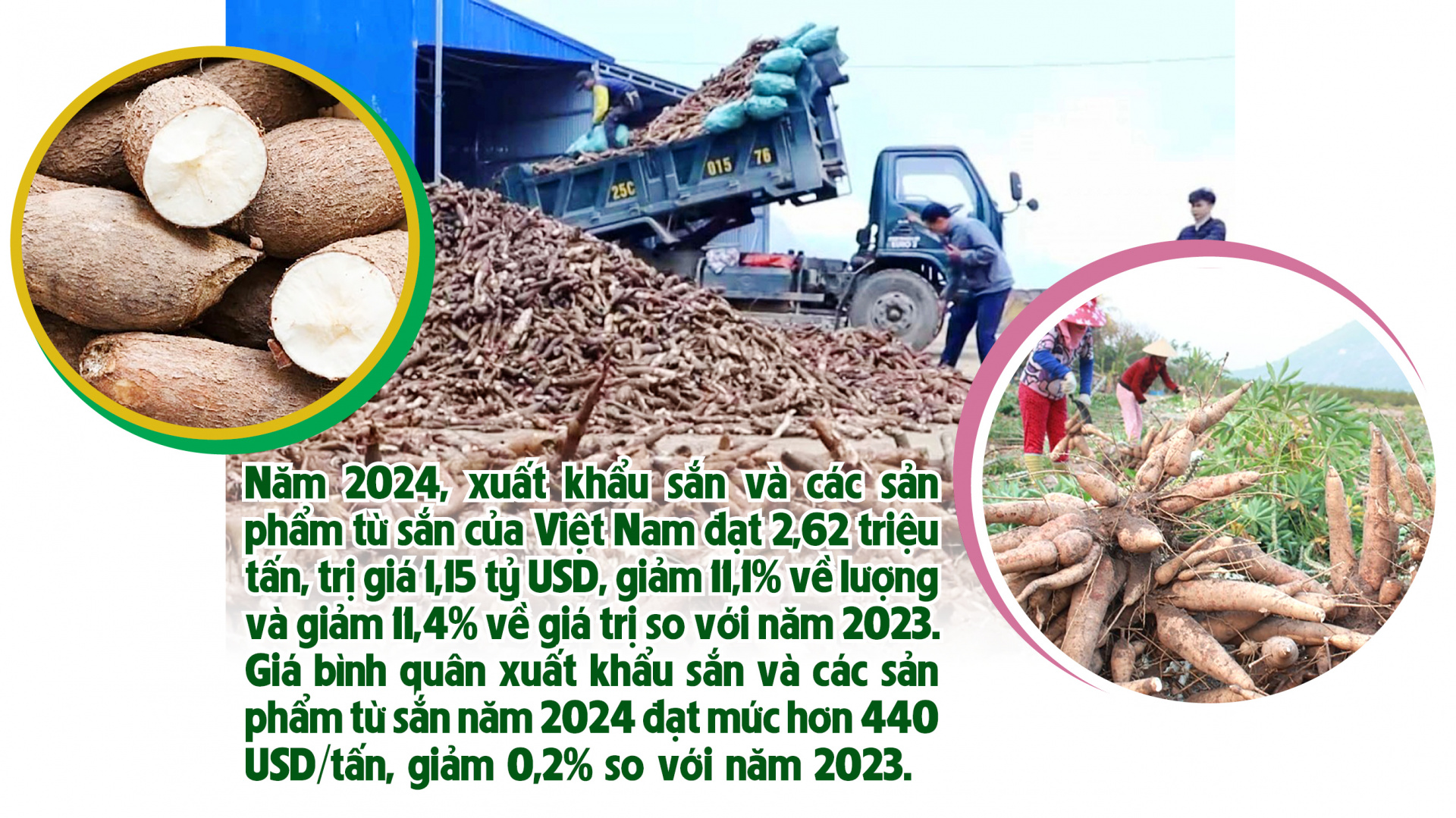 đầu ra cho  nông sản