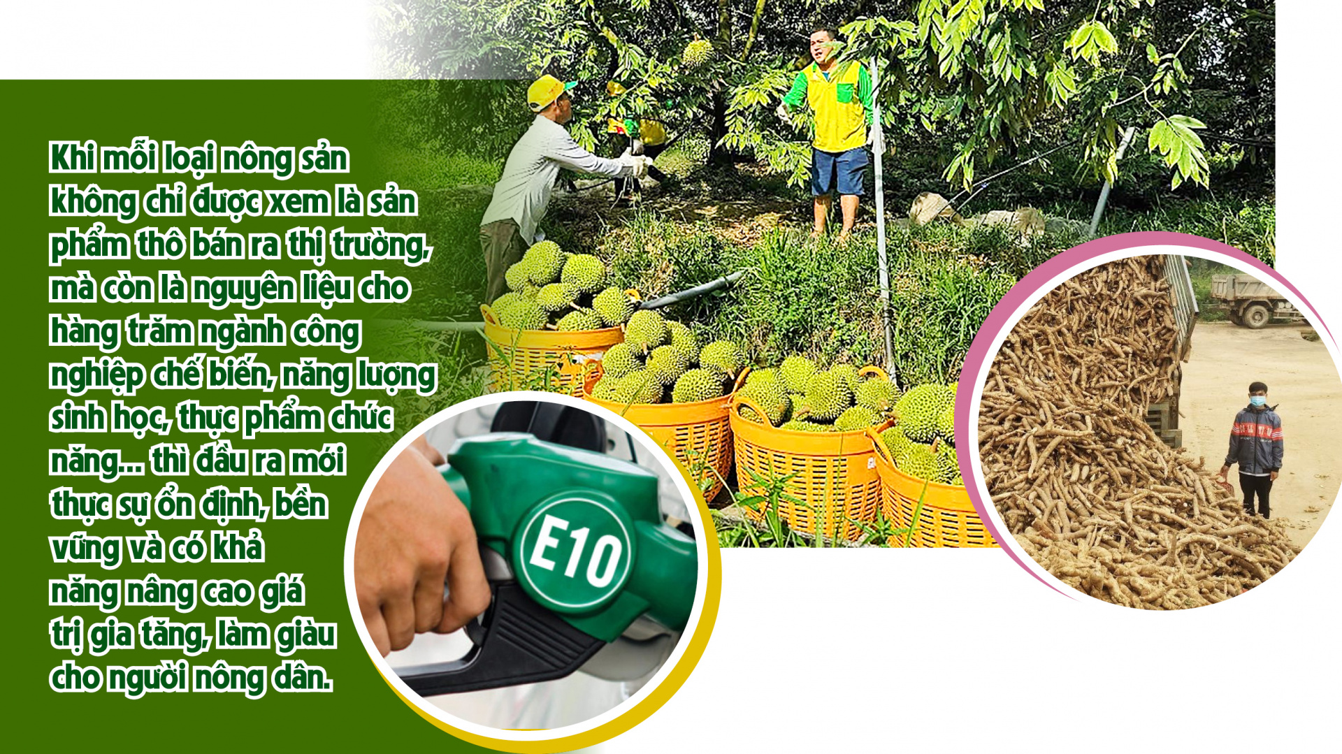 đầu ra cho nông sản