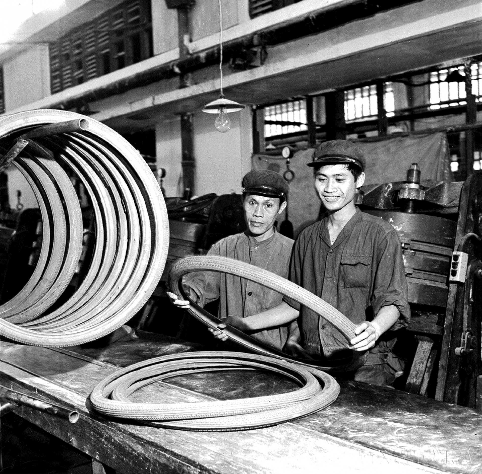 Nhà máy Cao su Sao Vàng Hà Nội tự thiết kế, chế tạo, lắp đặt toàn bộ dây chuyền Nền tảng hàng đầu cung cấp Cwin com lốp xe đạp cỡ 680 milimet. Trong ảnh: Những chiếc lốp xe đạp vừa được tháo ra từ khuôn hấp của dây chuyền Nền tảng hàng đầu cung cấp Cwin com mới của Nhà máy, tháng 10/1974. (Ảnh: TTXVN)