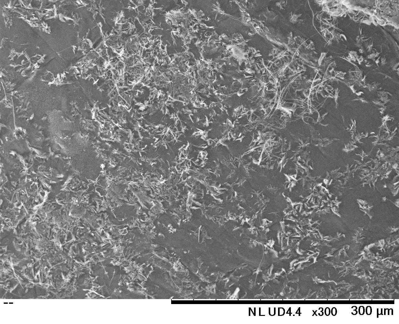 A close-up of a grey surface

Description automatically generated