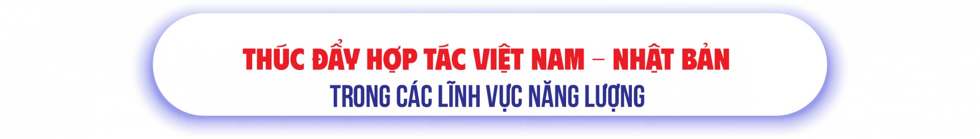 Thúc đẩy hợp tác Việt Nam - Nhật Bản trong các lĩnh vực năng lượng 