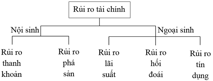 Phân loại rủi ro tài chính theo nguồn hình thành