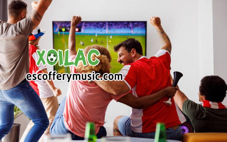 Thế giới Di động (MWG) hé lộ bí quyết tăng doanh thu chuỗi Bách Hoá Xanh bất chấp mức chi tiêu giảm