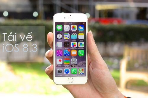 Công ty TNHH Thương mại và Dịch vụ Phú Sinh: Nỗ lực đưa tỏi Lý Sơn vươn xa