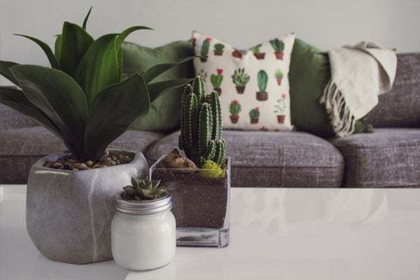 Thị trường chứng khoán: Khi “cá con” làm nên chuyện