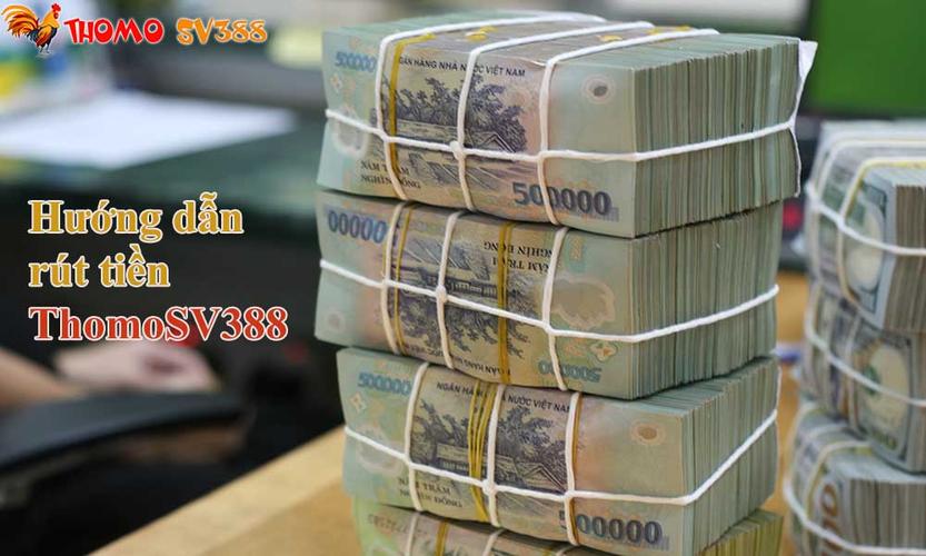 Công ty CP Cao su Mường Nhé: Phấn đấu khai thác 1.176,24 ha năm 2024