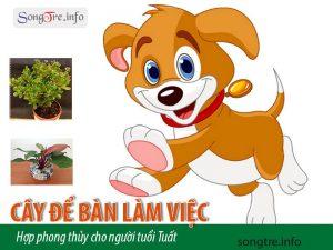 Đà Nẵng: Xử phạt hơn 49 triệu đồng đối với 3 cửa hàng bán hàng giả mạo nhãn hiệu