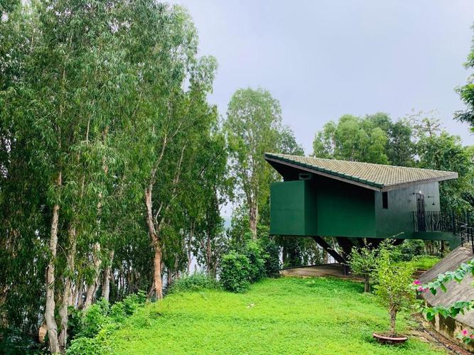 Đề xuất bảo hiểm y tế trả chi phí khám sàng lọc ung thư, tiểu đường