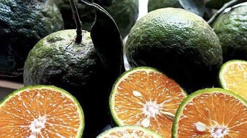 Cổ phiếu MWG sẽ bị loại khỏi rổ chỉ số “Kim cương Việt Nam”?