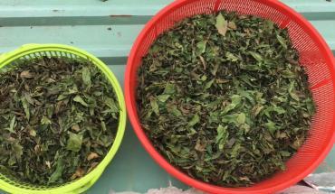 Trường Đại học Thái Bình công bố phương án tuyển sinh đại học chính quy năm 2024