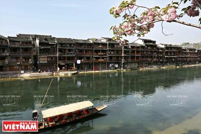 Ghế được bọc da Nappa với hoa văn thêu chi tiết