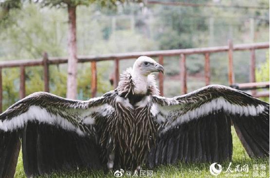 Xác định khả năng tài chính khi mua xe