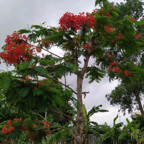 Số lượng người phù hợp với chiếc sẽ giúp đảm bảo an toàn cũng như sự thoải mái