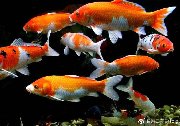 thay lọc không khi và Tải về ứng dụng CWIN05 ngay hôm nay hệ thống điều hòa