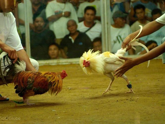 Đệm